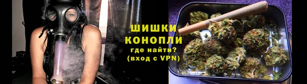 ПСИЛОЦИБИНОВЫЕ ГРИБЫ Аркадак