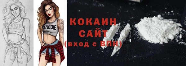 ПСИЛОЦИБИНОВЫЕ ГРИБЫ Аркадак